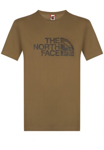 Футболка THE NORTH FACE